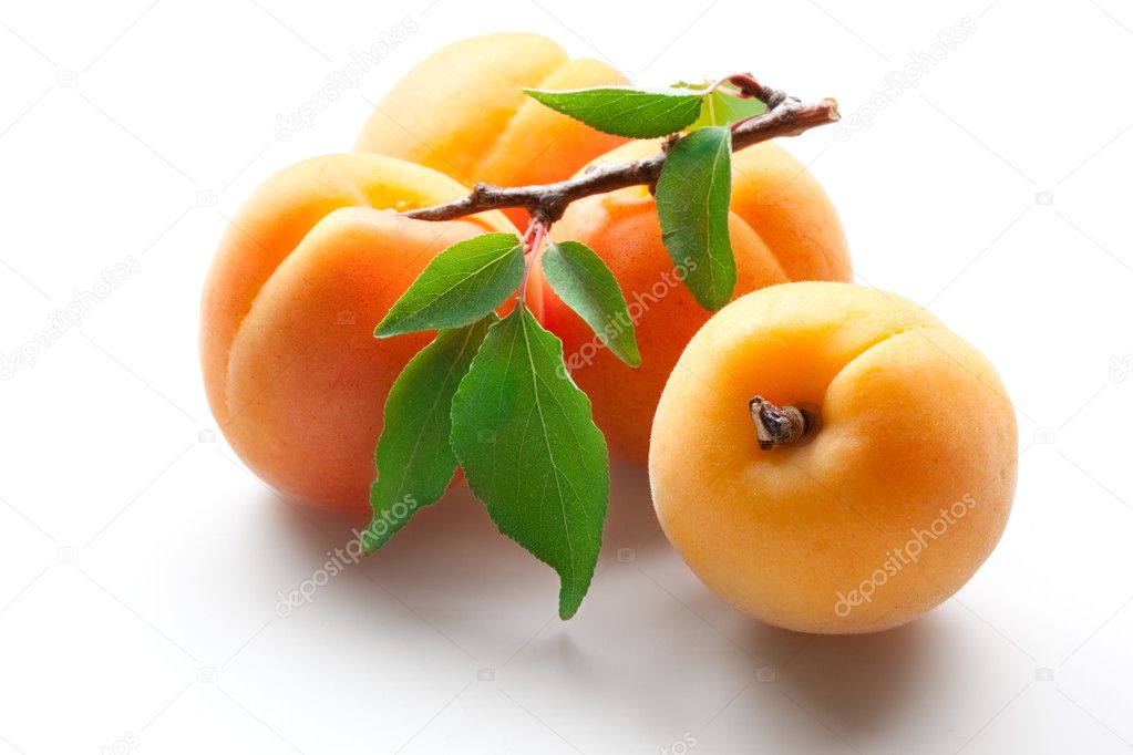 Apricot. Fruits with leaves. isolated on white