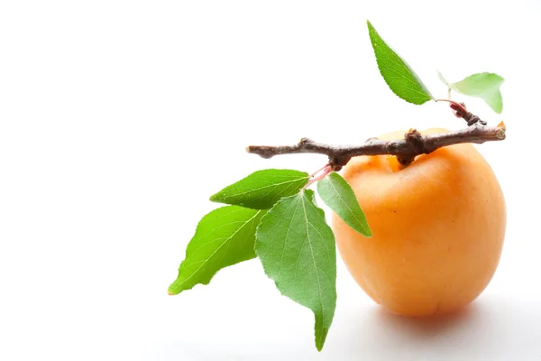 Aprikos. frukt med blad. närbild på vit bakgrund — Stockfoto