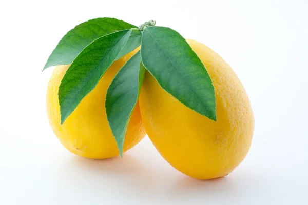 Λεμόνι. Φρούτα με φύλλα που απομονώνονται σε λευκό — Φωτογραφία Αρχείου