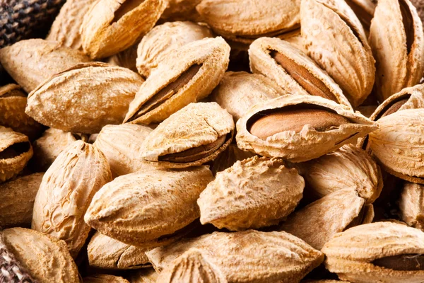 Kacang. Almond di shell — Stok Foto