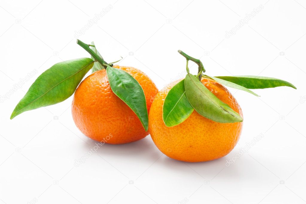 Two mandarines isolated on white with clipping path