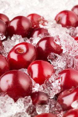 Cherry with ice clipart