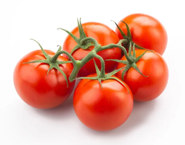 Tomates no caule isolados — Fotografia de Stock