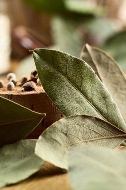 Bay leaves clipart