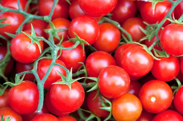 stock image Tomato cherry