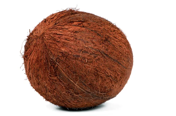 Orzechy kokosowe Obrazy Stockowe bez tantiem