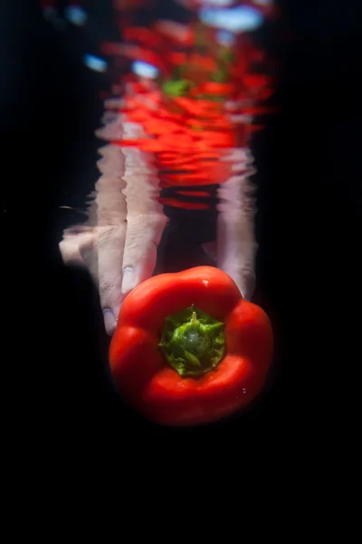 Pimenta vermelha na água — Fotografia de Stock