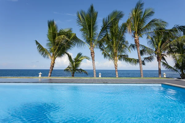 Bazén a palmy — Stock fotografie