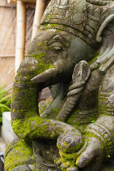 Ganesh. —  Fotos de Stock