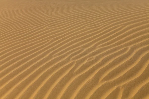 Stock image Sand dunes