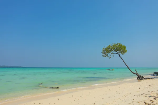 Andaman beach — Zdjęcie stockowe