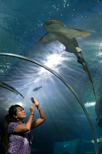 Vrouw in aquarium — Stockfoto