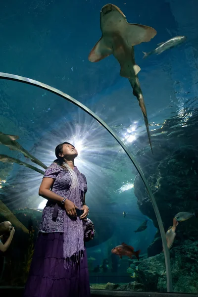 Kvinne i akvarium – stockfoto