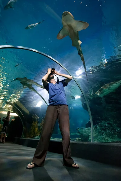 在水族馆中的男人 — 图库照片