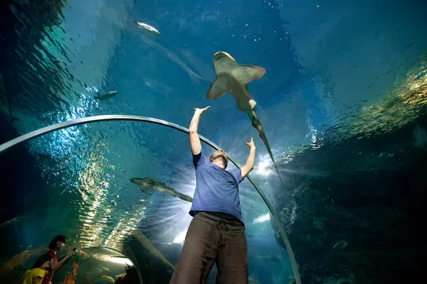 Homem no aquário — Fotografia de Stock