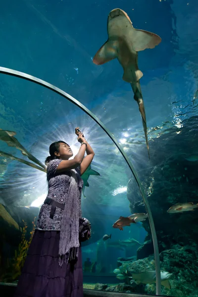 Mujer en acuario — Foto de Stock