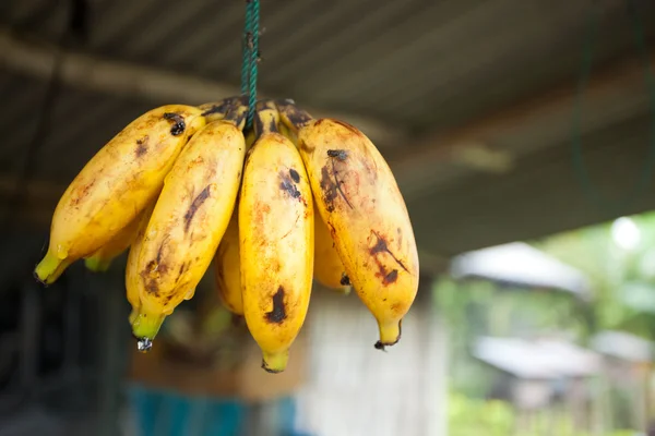 Banan wyświetlacz — Zdjęcie stockowe