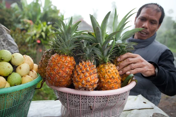 Fruit vendor — Stockfoto