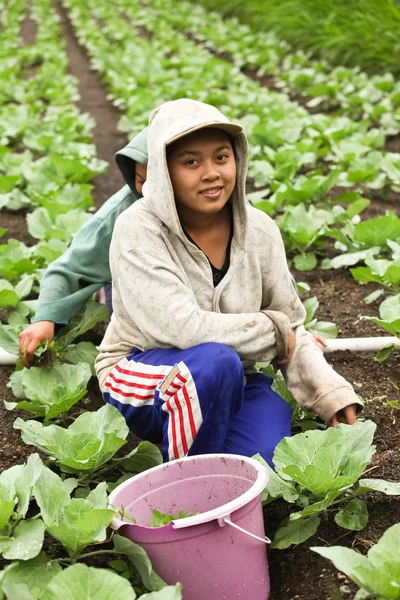 Giovani ragazze contadine — Foto Stock