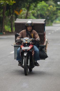 Bali taşıma