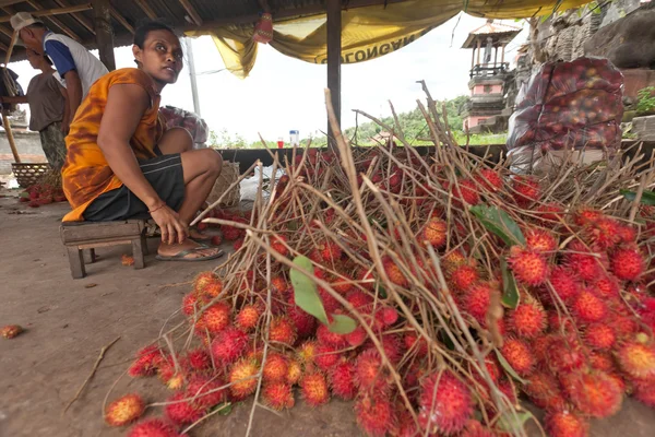 Rambutan โปรดิวเซอร์ — ภาพถ่ายสต็อก