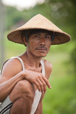 pirinç çiftçi