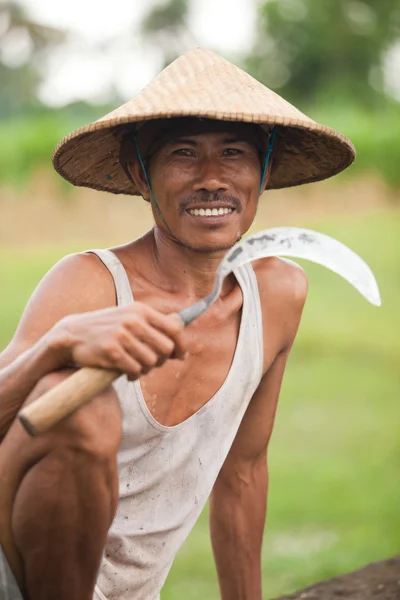 Pirinç çiftçi — Stok fotoğraf