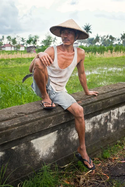 Producteur de riz — Photo