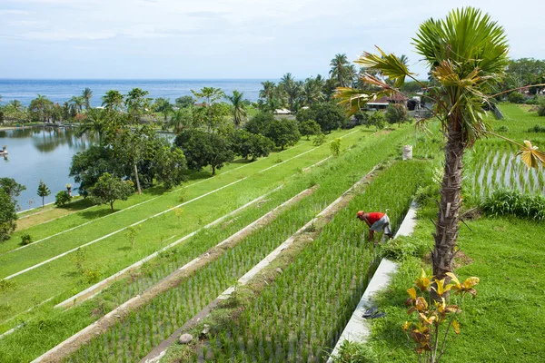 Watertempel in Bali — Stockfoto