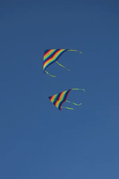 Varicoloured kites — Stock Photo, Image