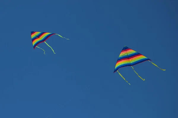 varicoloured ucurtmalar