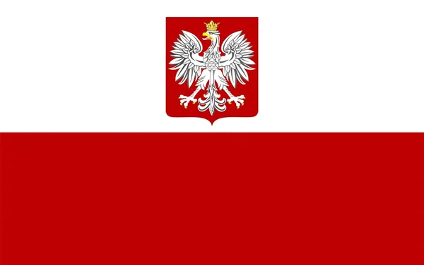 폴란드의 국기 — 스톡 벡터