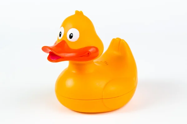 Perfil yellow duck — Stock Photo, Image