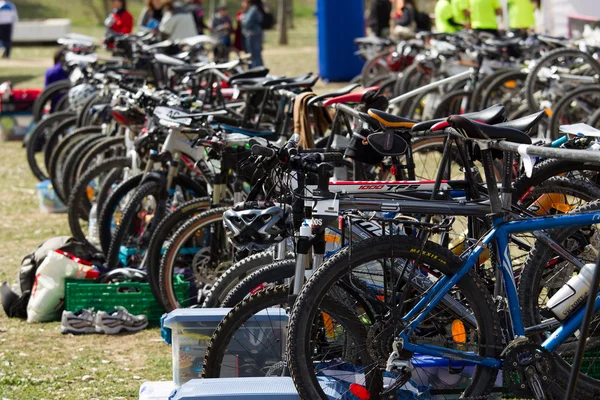 stock image Bikes on Parking