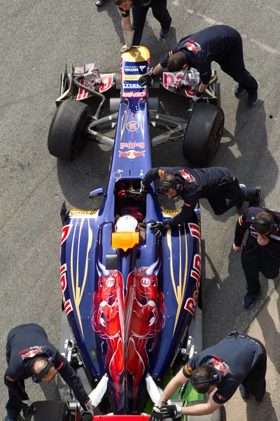 Scuderia Toro Roso, Daniel Ricciardo — Stock Photo, Image