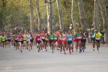 Runners of half marathon clipart