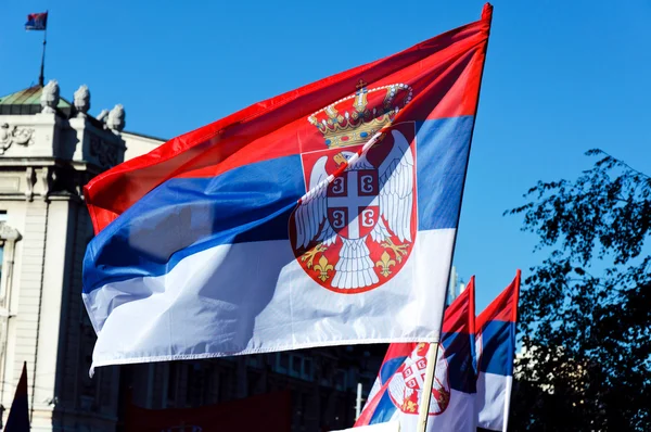 stock image Serbian flags