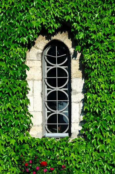 Fenster verstecken — Stockfoto