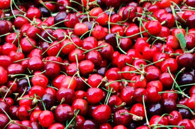 Fresh cherries clipart