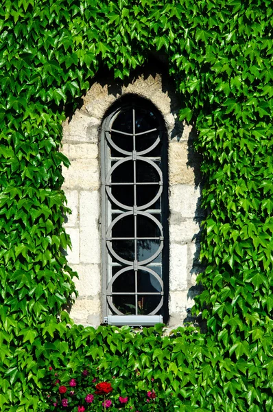 Окно Хидена — стоковое фото
