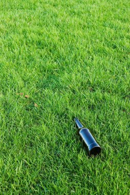 Bottle in the grass clipart