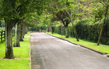 Alley in Japanese Gardens clipart