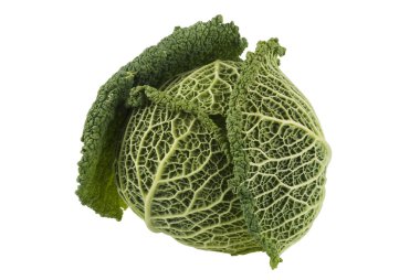 Kale Cabbage clipart