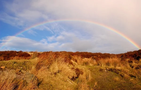 Rainbow over heather hill — Stock Photo, Image