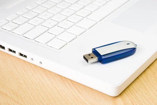 Laptop en flash pen drive — Stockfoto