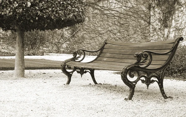 stock image Bench in the park