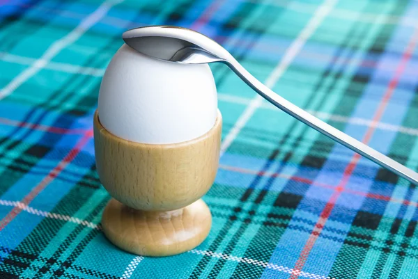White Egg Breakfast — Stock Photo, Image