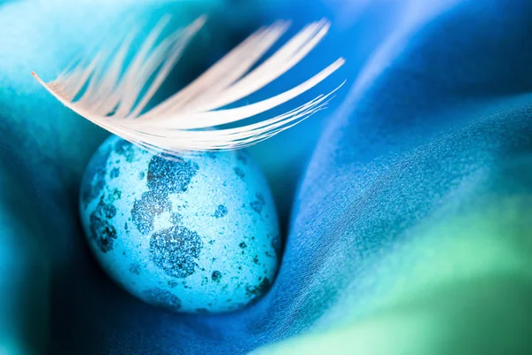 Colored Quail Egg — Stock Photo, Image
