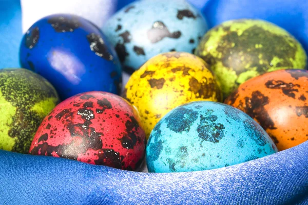 Uova di quaglia colorate — Foto Stock