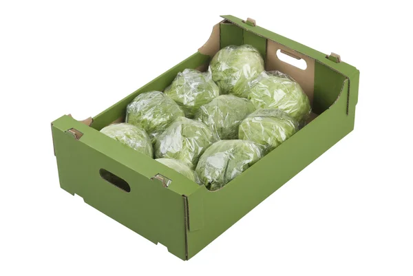 Jéghegy saláta doboz — Stock Fotó